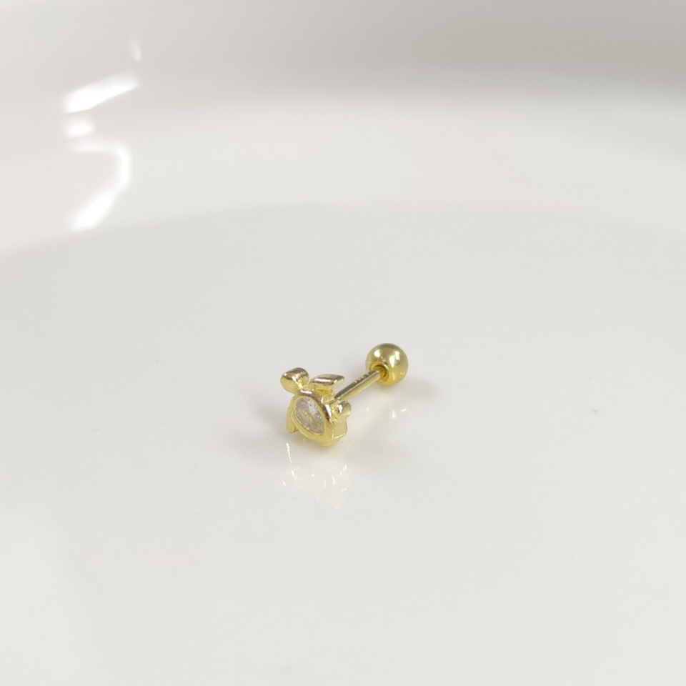 KAPLUMBAĞA GÜMÜŞ TRAGUS PIERCING